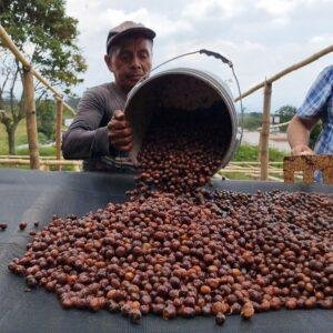 Guatemala Laguna