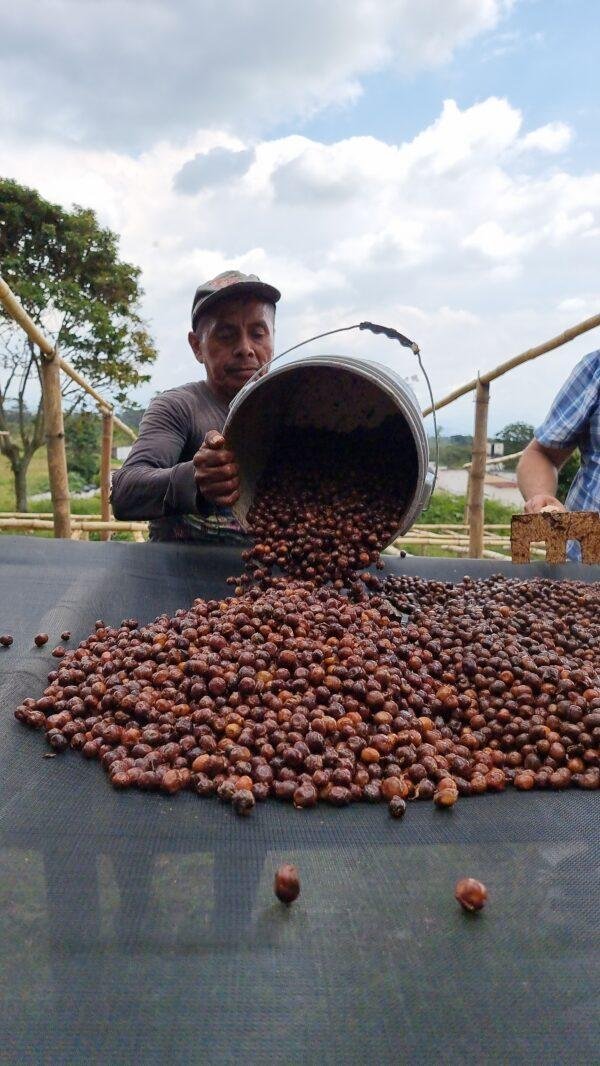 Guatemala Laguna