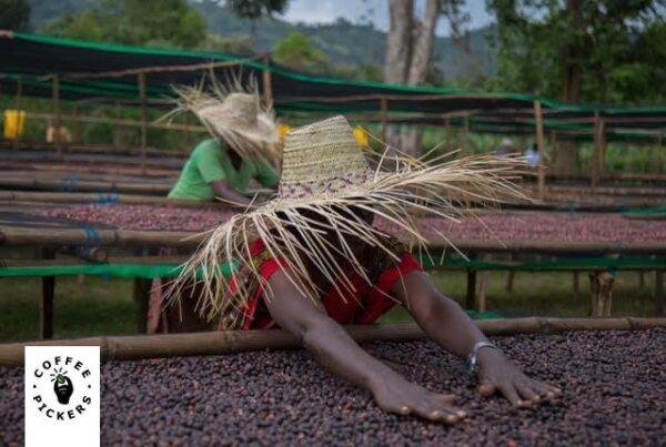 Ethiopia Yargachevi Podkisa